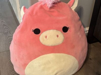 Big Squishmallow