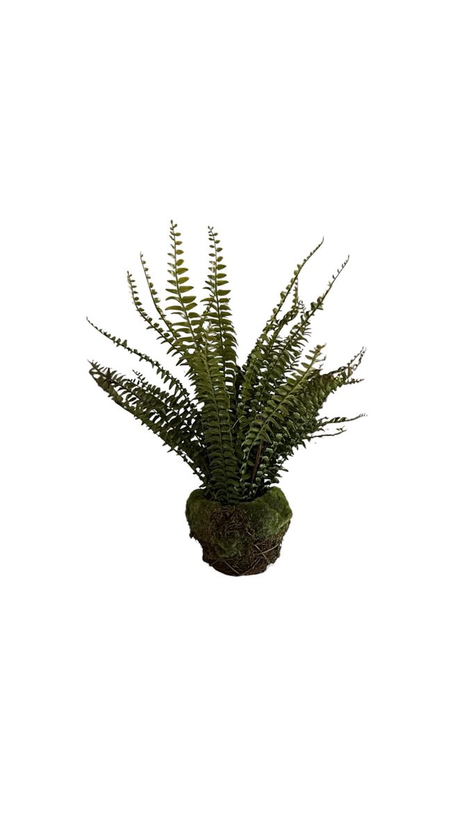 Main image 2