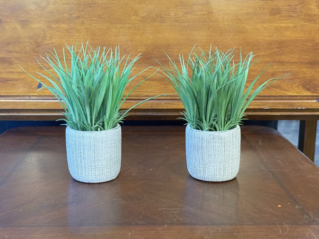 Artificial 2-set Plants