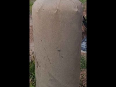 100 lb propane tank with deluxe cover