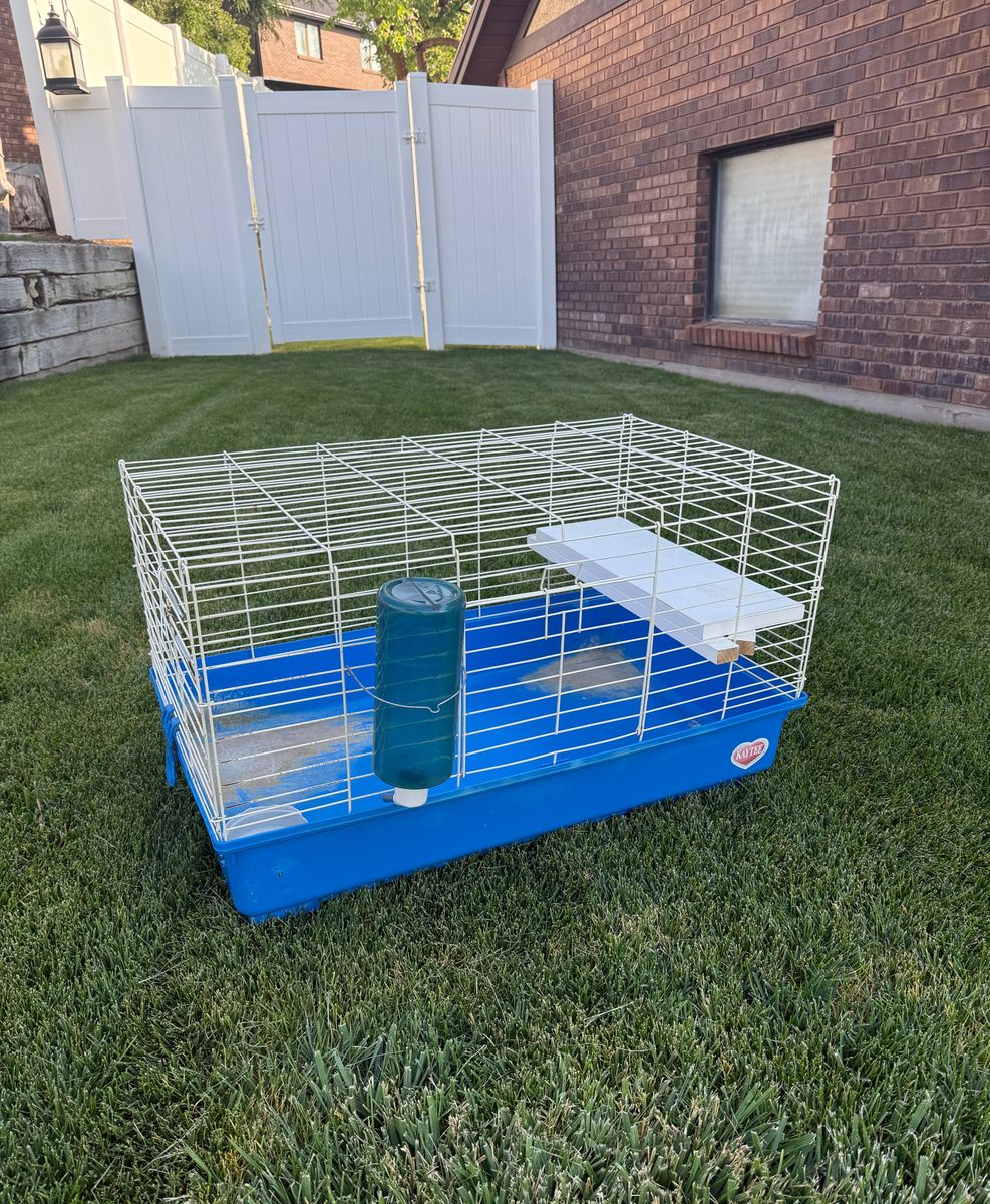 rabbit cage