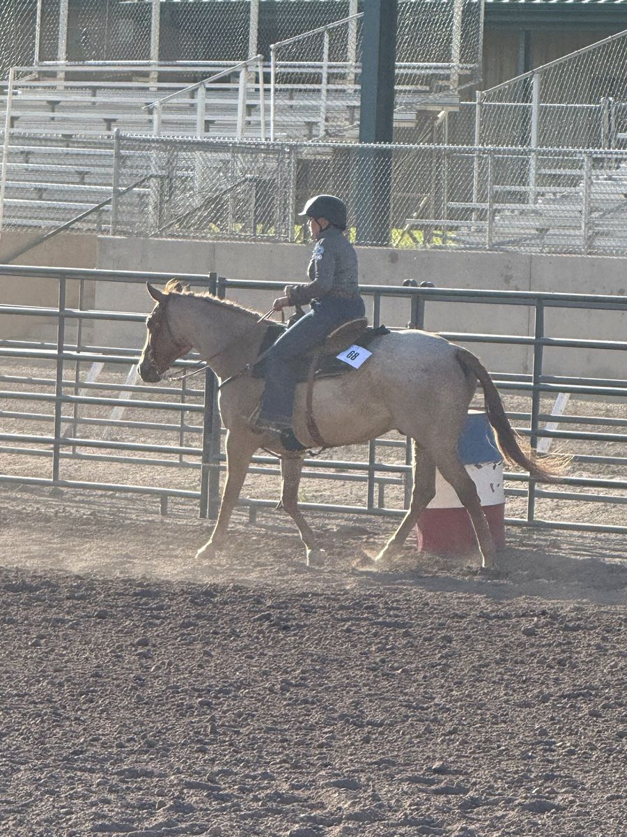 ISO Kids Horse