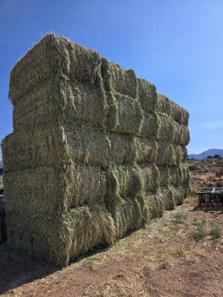 3 way hay horse hay cow feed 3x4x8 bales Free Delivery
