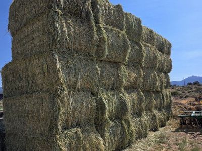 3 way hay horse hay cow feed 3x4x8 bales Free Delivery