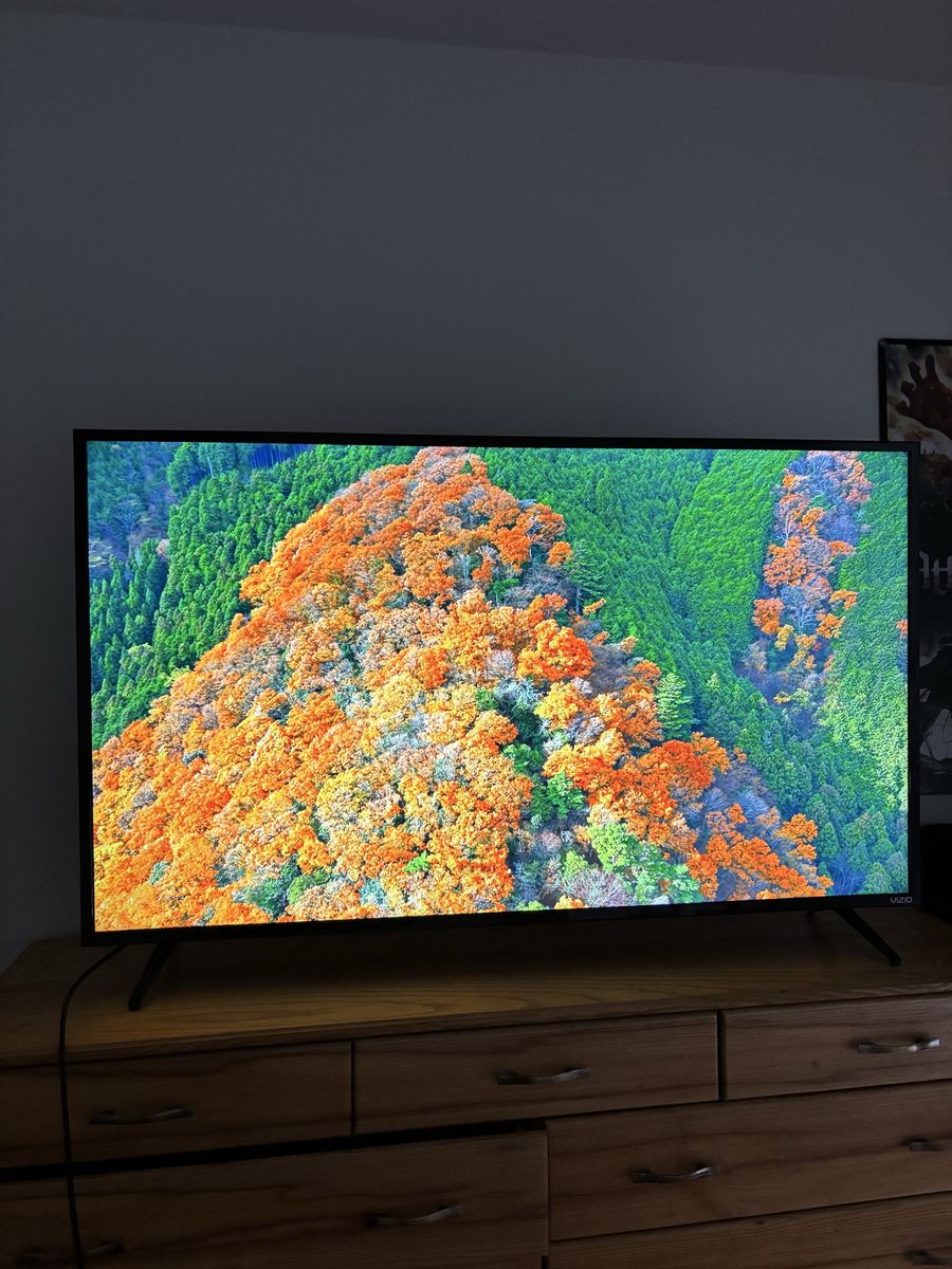 55" Vizio SmartCast TV w/ Remote & Stand