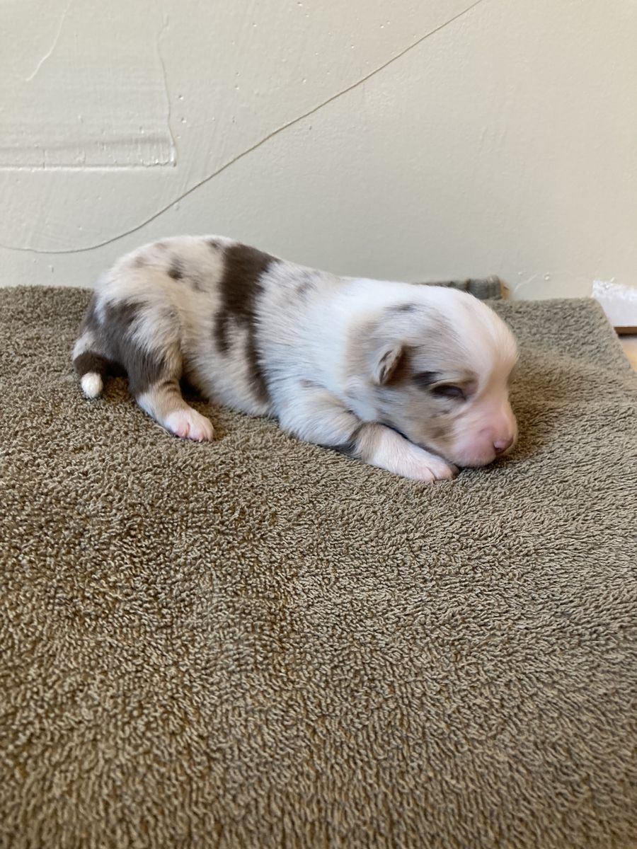 Main image 6