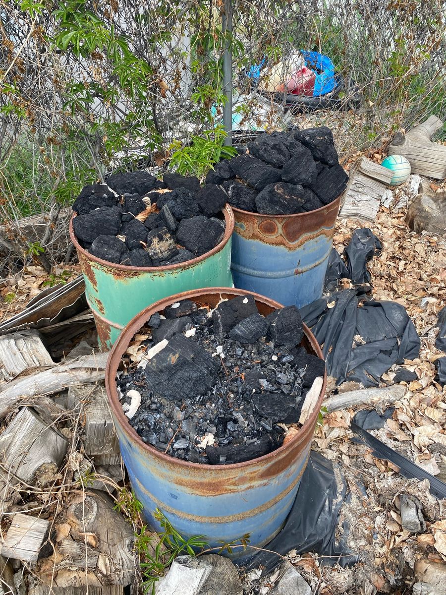 FREE COAL