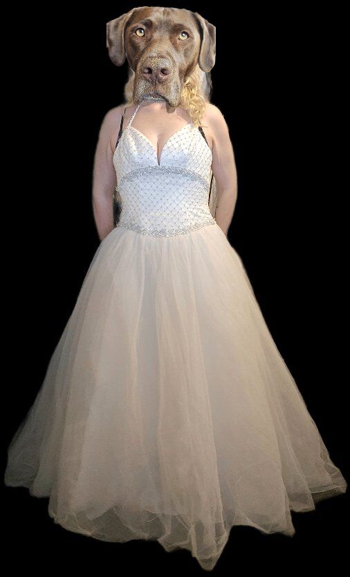 SZ 6 white and silver wedding / formal dress