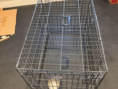 Large dog crate