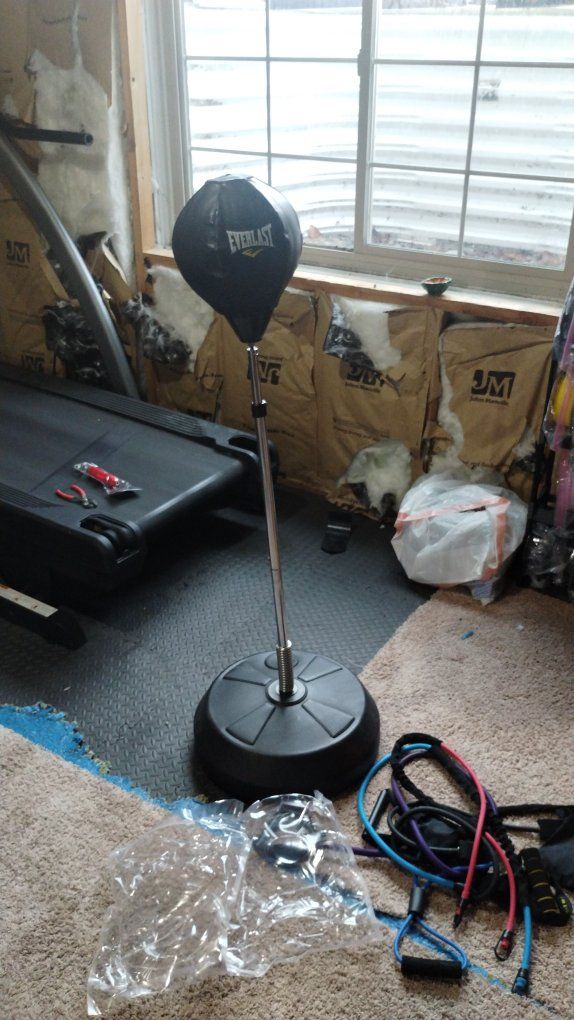 everlast adjustable kick/punch bag