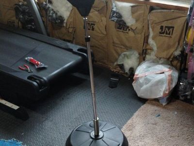 everlast adjustable kick/punch bag