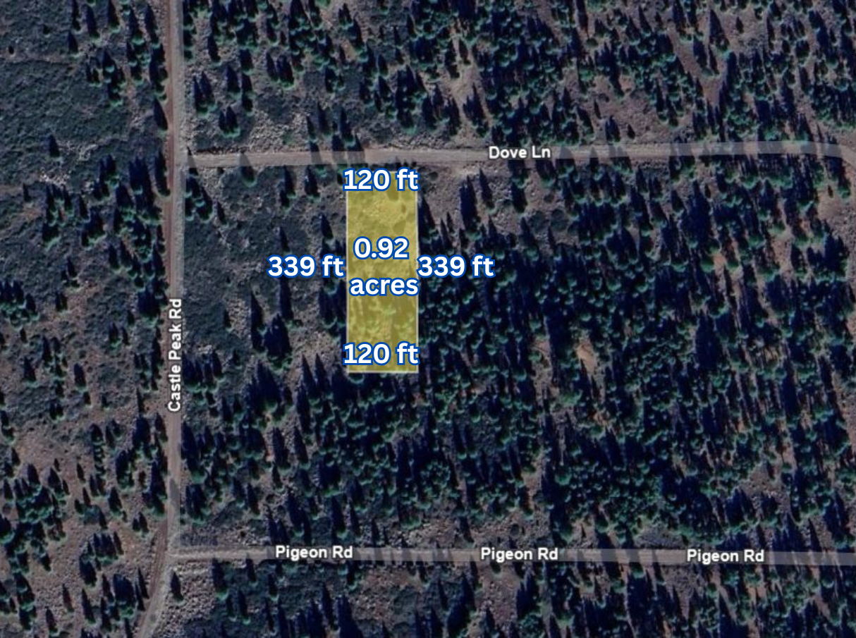 Main image 11