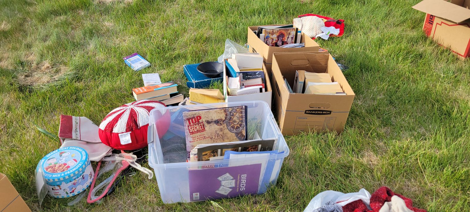 Free
