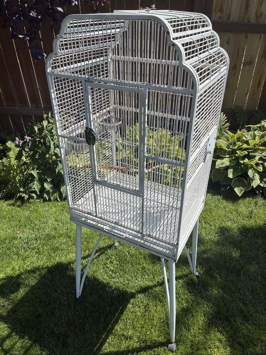 White Bird Cage