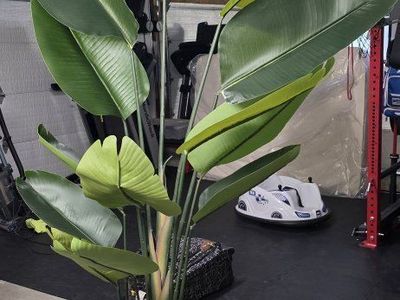 artificial 7ft birds of a paradise plant