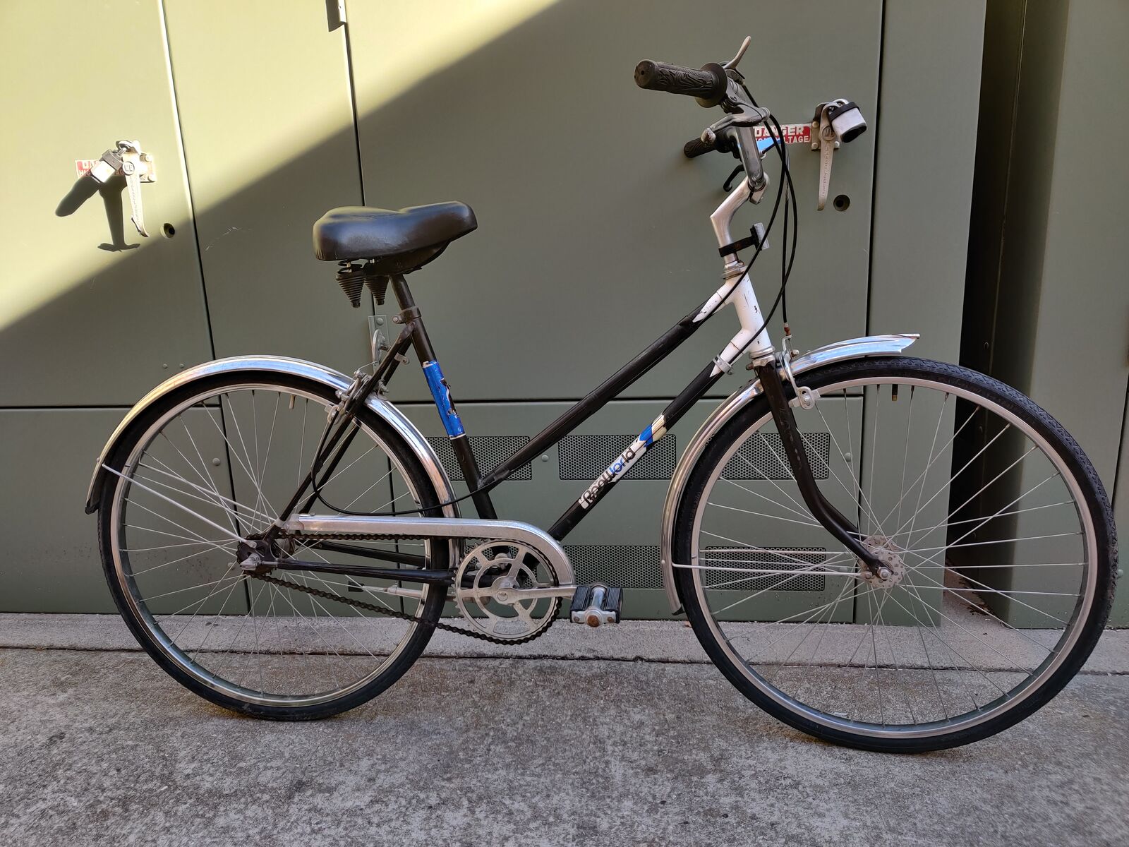 Panworld Stepthrough Bike SB21-25