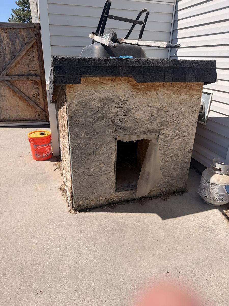 Dog house