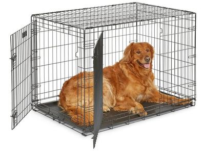 Pet Crate for Large Dogs (42-inch)