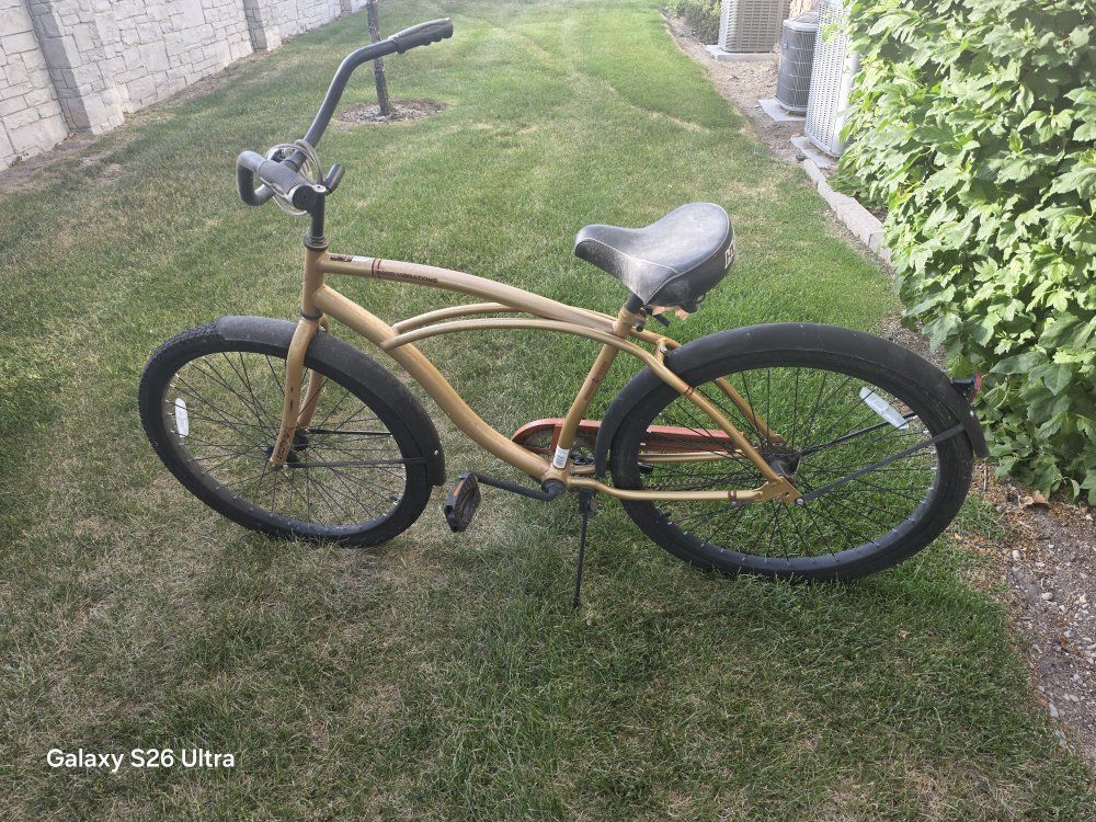 Beach cruiser perfect fit $100 obo