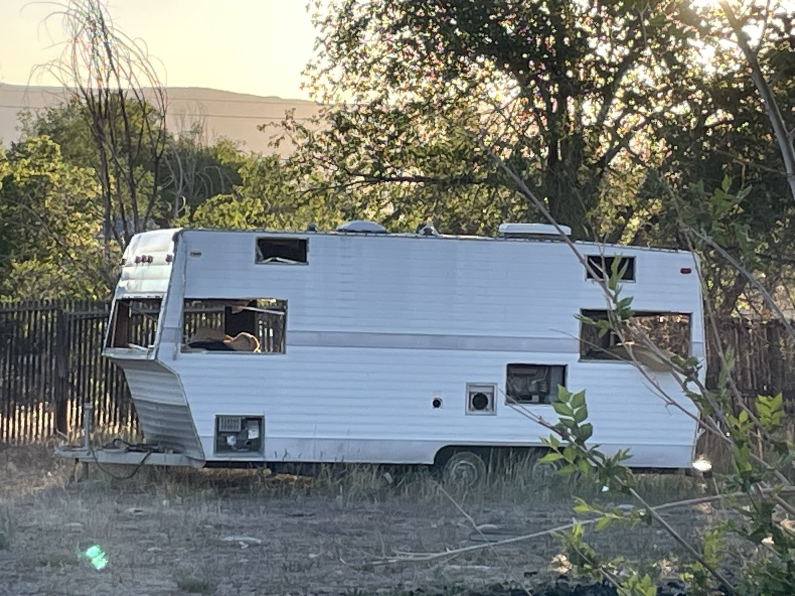 Bumper Pull Trailer-$50