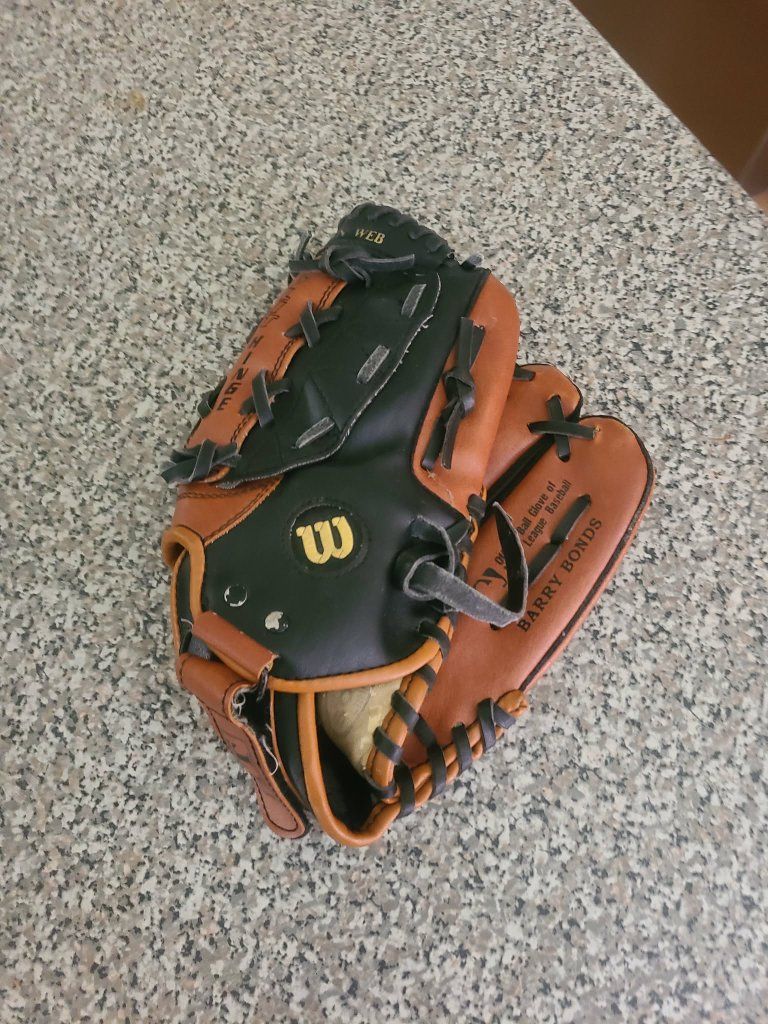 wilson 11" baseball glove