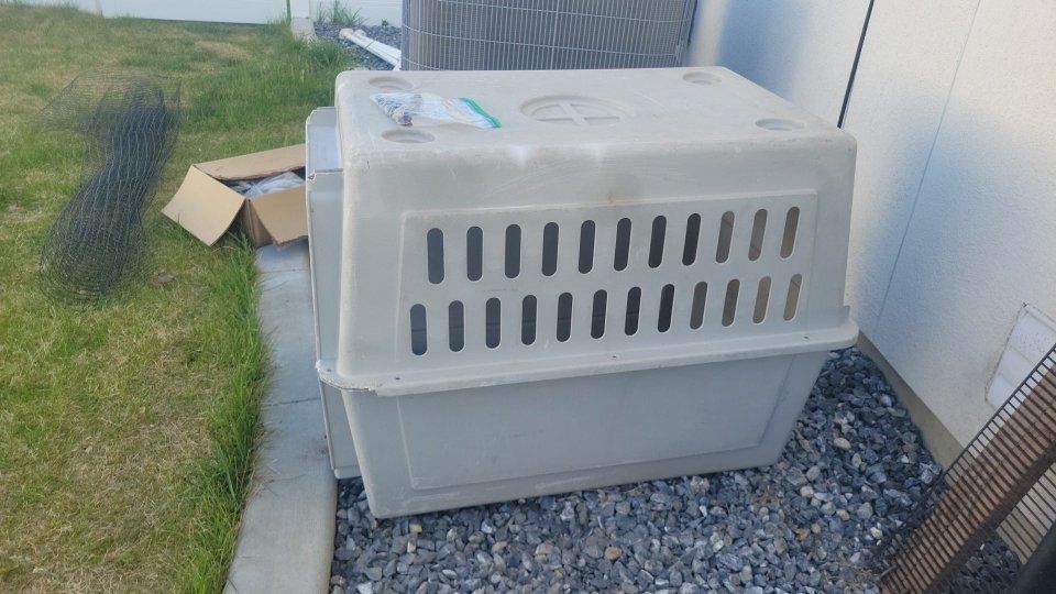 Pet Porter Large Hard-Sided Pet Carrier Dog Crate Airline Approved