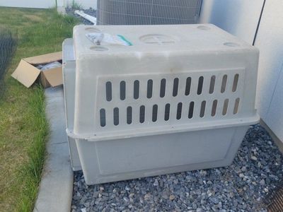 Pet Porter Large Hard-Sided Pet Carrier Dog Crate Airline Approved