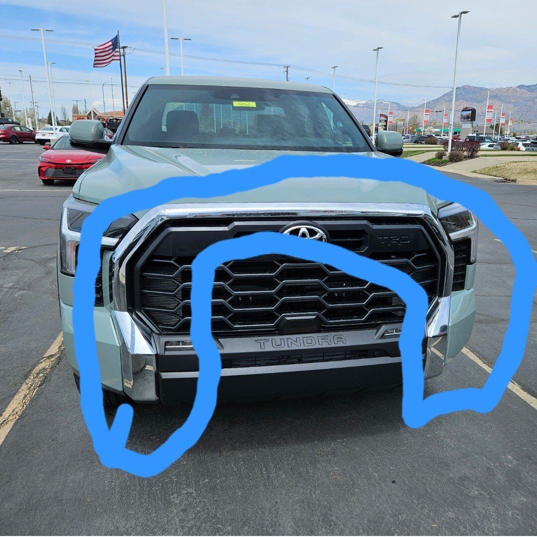 Surround grill insert