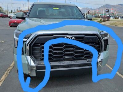 Surround grill insert