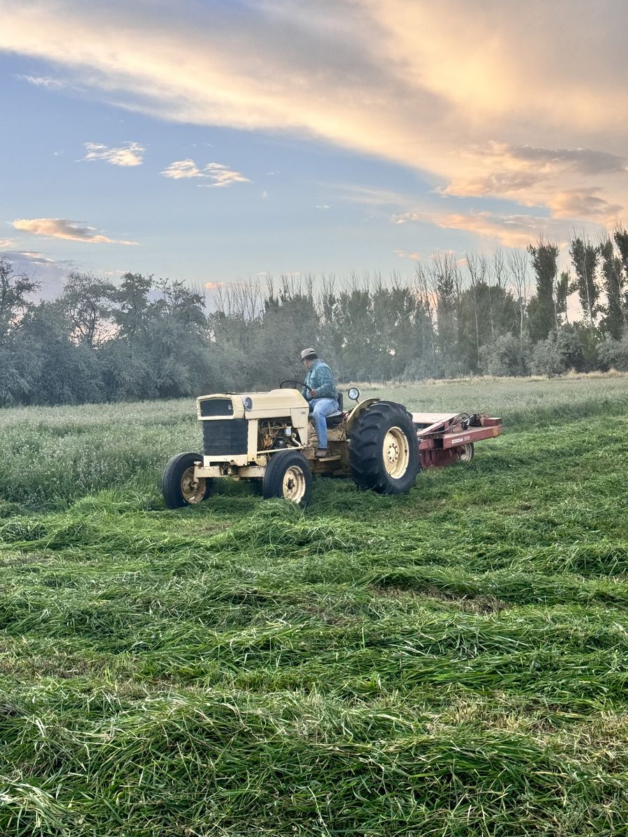 Hay Cutting And Baling