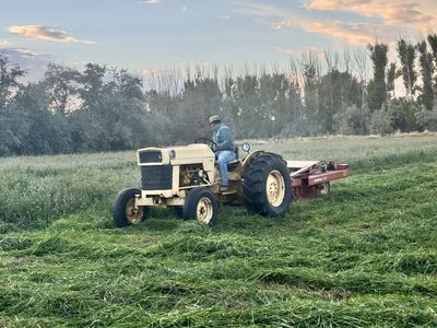 Hay Cutting And Baling