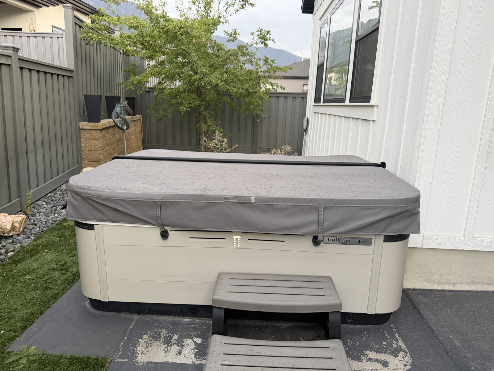 2018 Bullfrog Spa