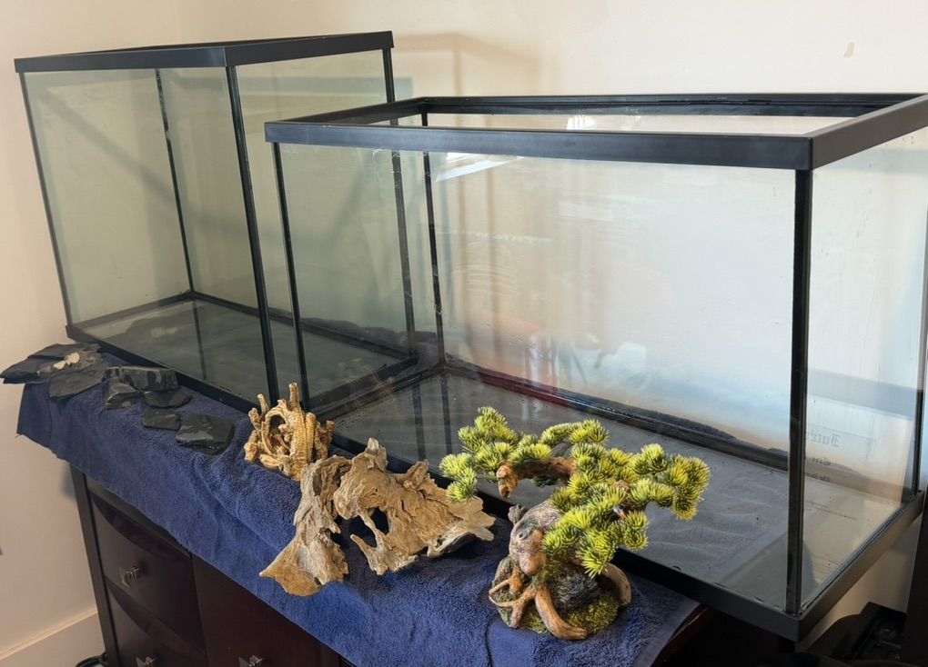 Aquariums And Decor