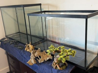 Aquariums And Decor