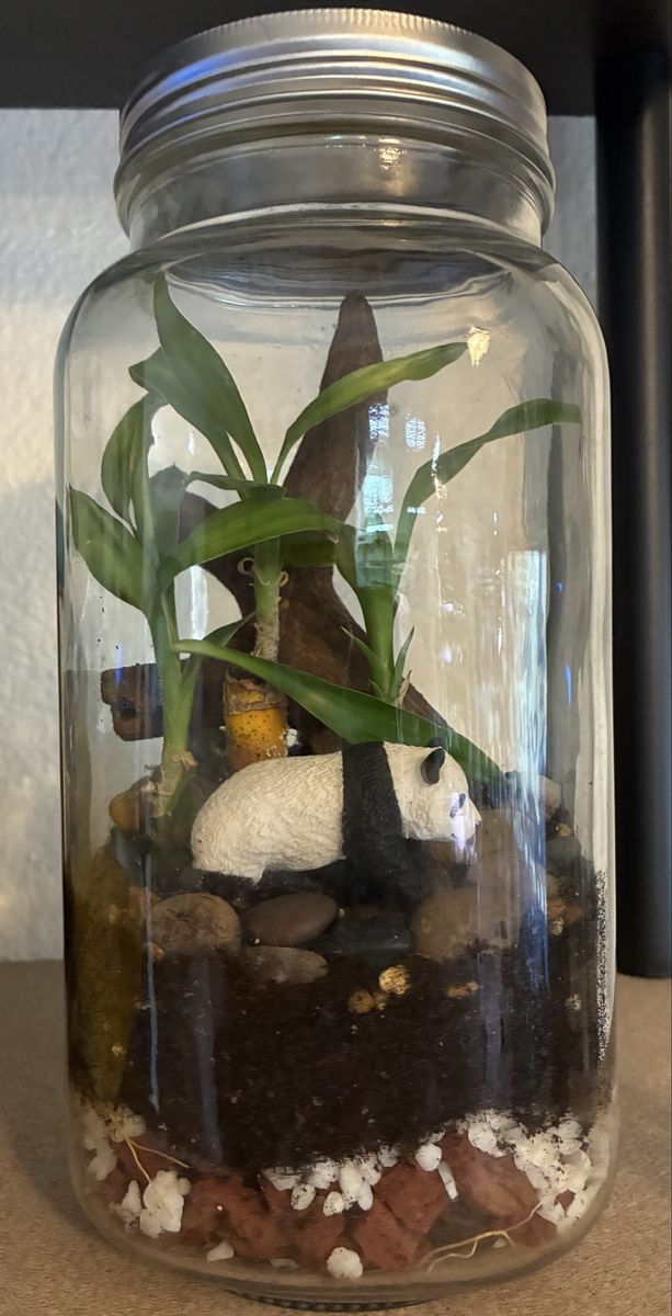 Panda Paradise Terrarium