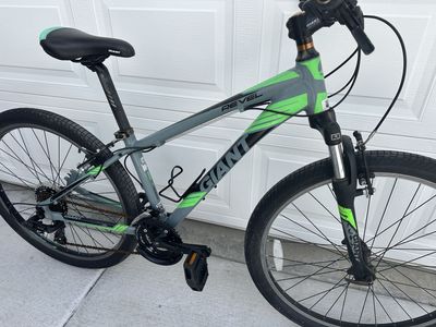 Giant revel 2 bike