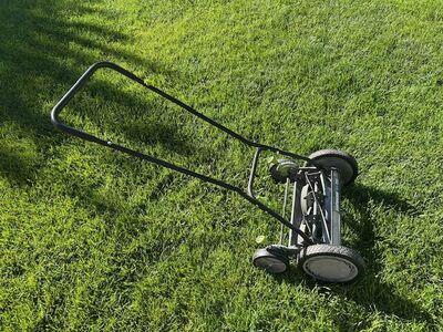 Blade/Reel Mower