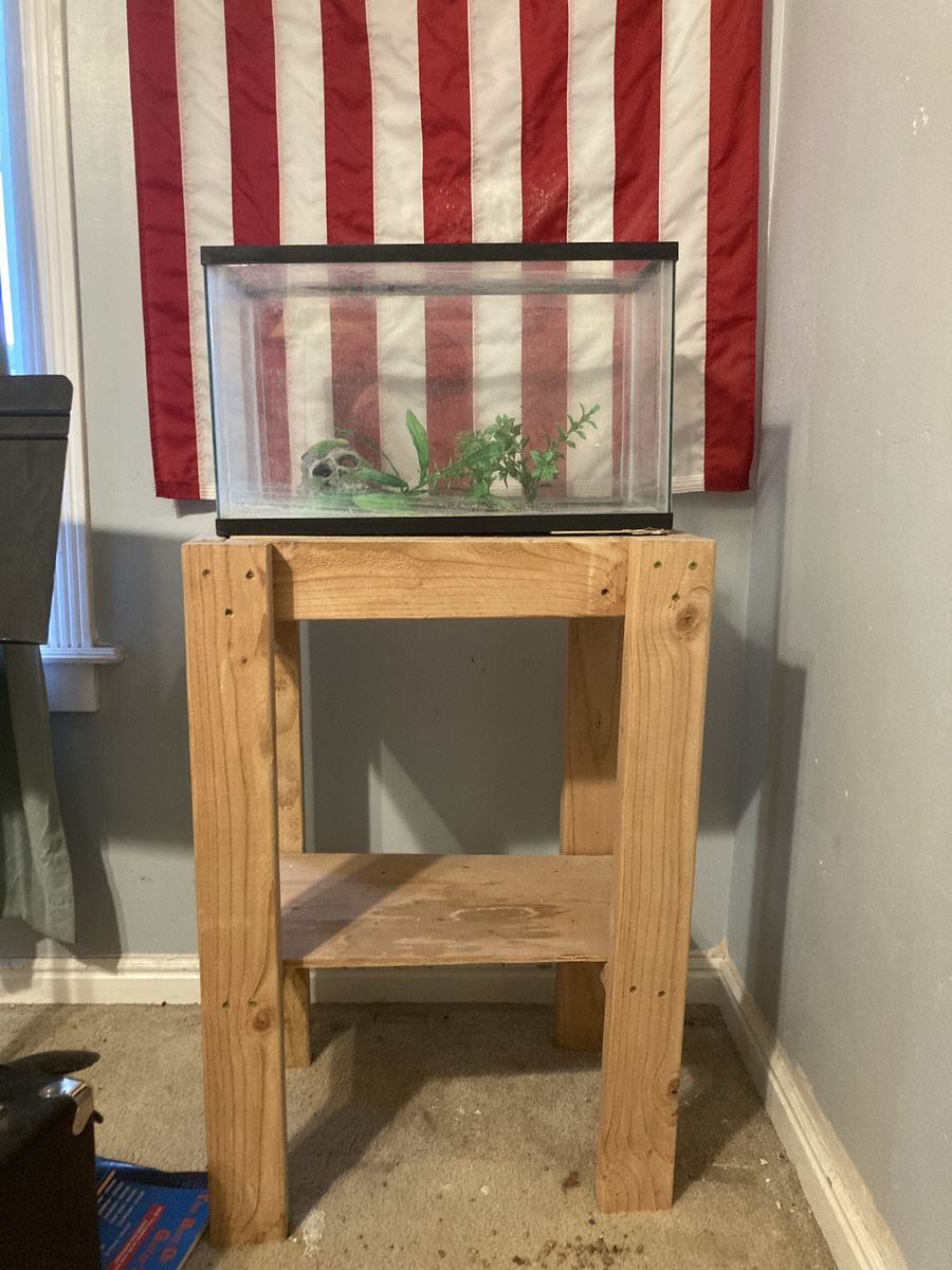 10 Gal Fish Tank