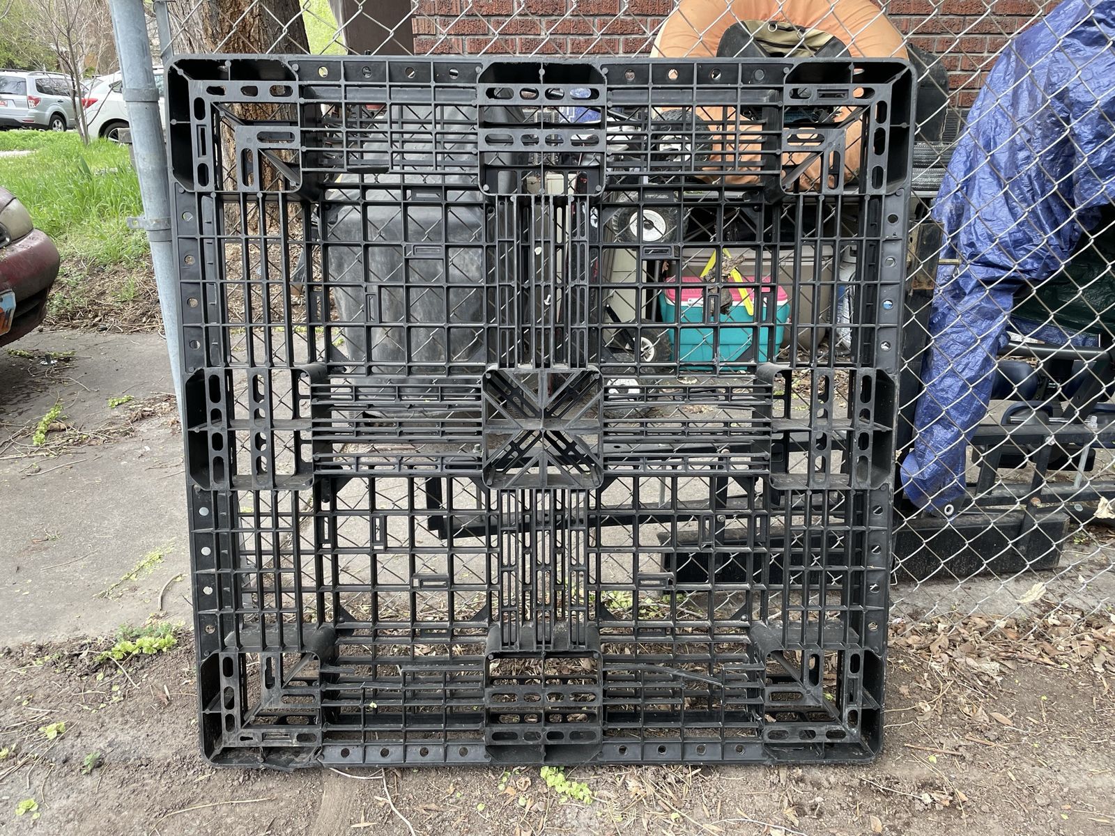Free Plastic Pallet 43.5" Square