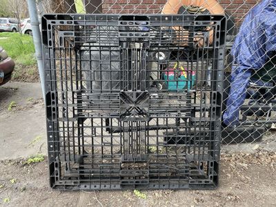 Free Plastic Pallet 43.5" Square