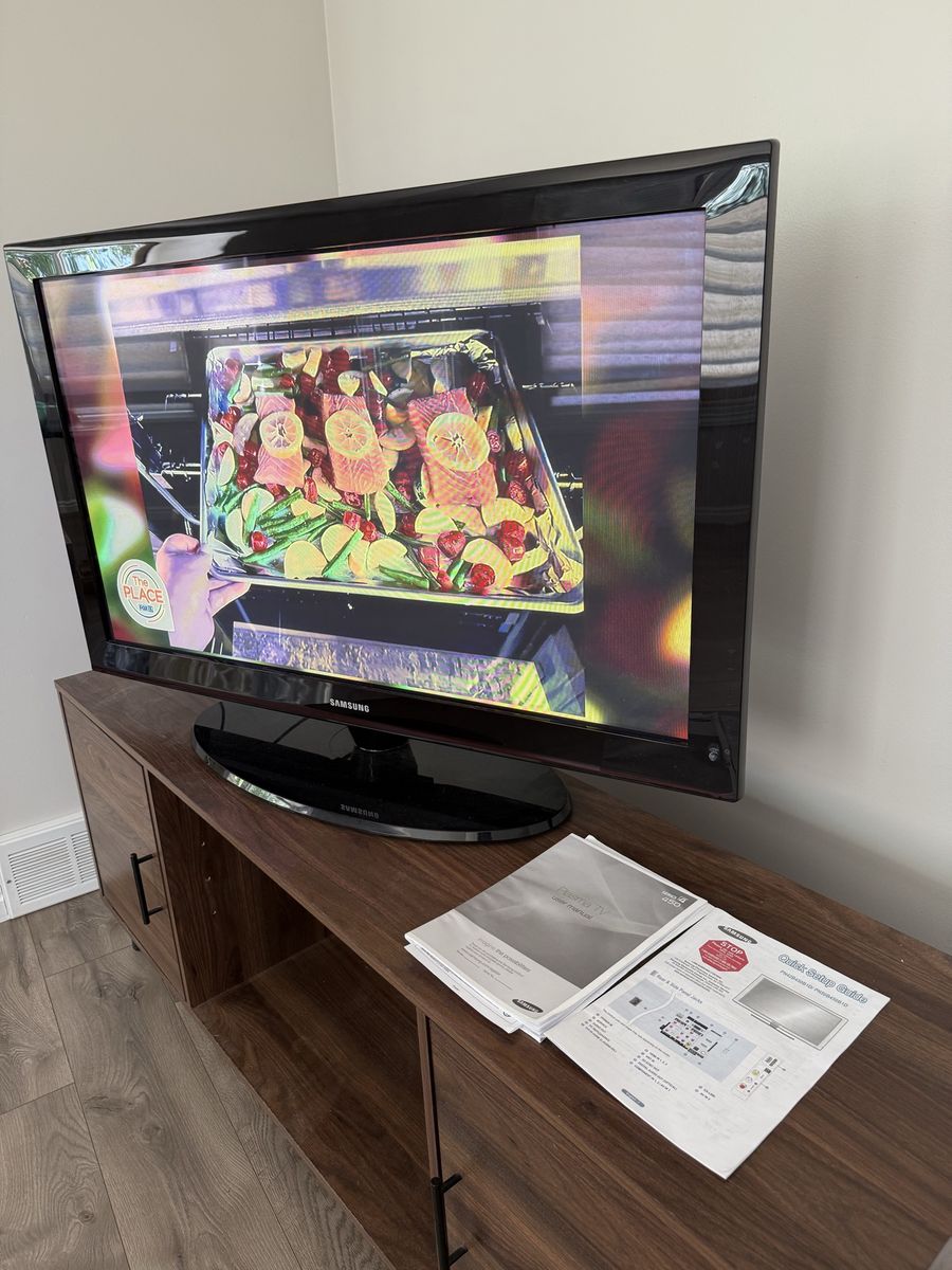 Samsung 42 inch Plasma TV PN42B450B1D with Stand, manual and remote