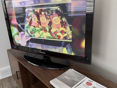 Samsung 42 inch Plasma TV PN42B450B1D with Stand, manual and remote