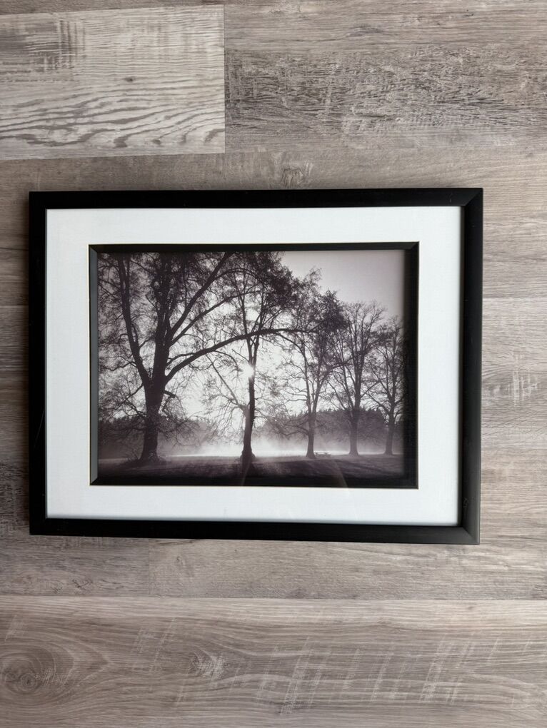 Framed And Matted Tree Picture