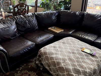 Free Couch. Some Wear.