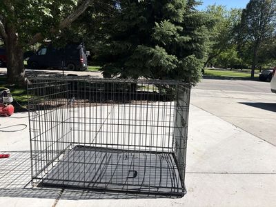 Large Black Wire Dog Crate Pet Kennel with Removable Tray - good Condition