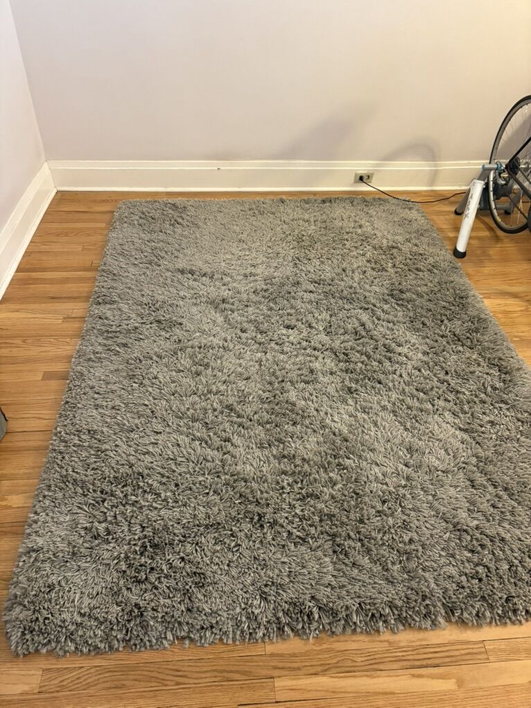 IKEA Shag Carpet