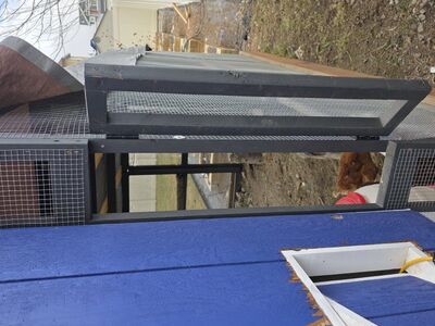 Custom Chicken Coop