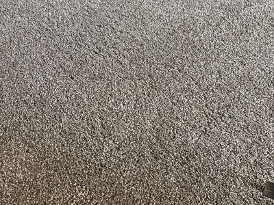 Mid-grade Carpet