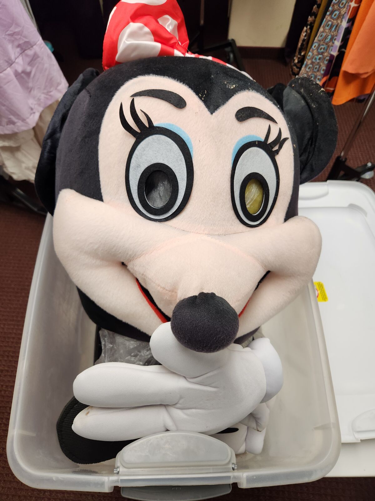 Minnie Mouse Costume