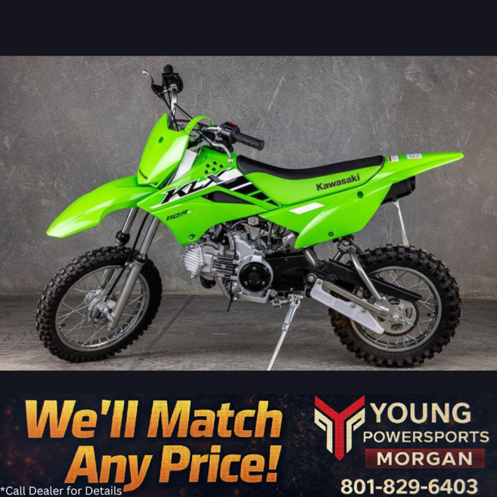 2025 Kawasaki KLX®110R L